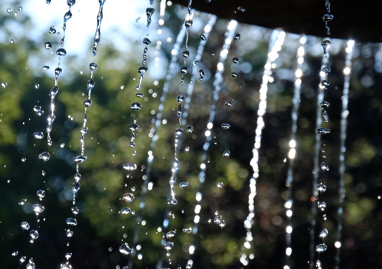 Fountain, beam, nature — Builders: What To Expect From Them