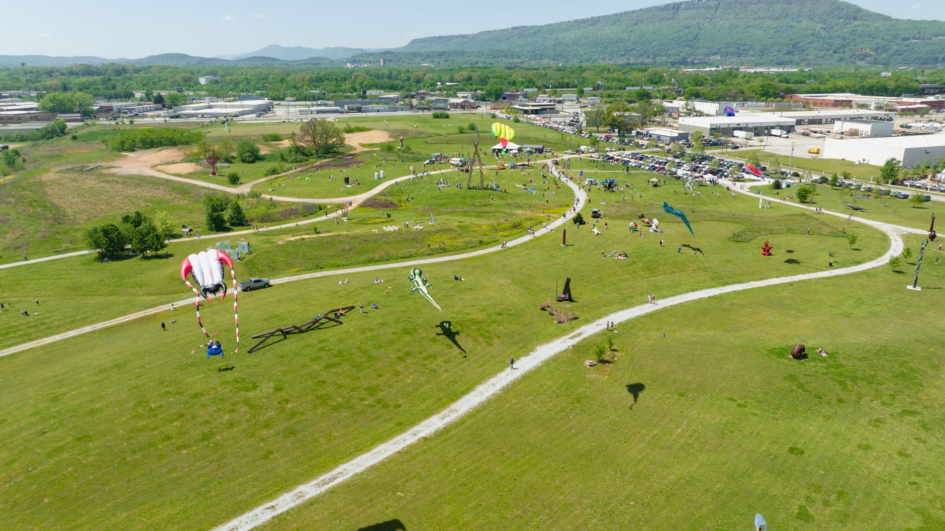 Black Mountain Festival
